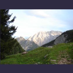 2007-05_03Regenalm (007).JPG